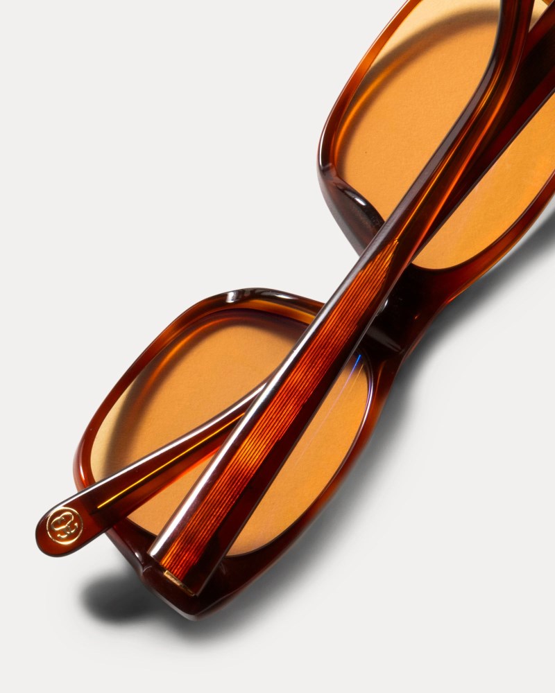 Stüssy Michael Sunglasses Pánské YT25-5765P0 | Stussy Sluneční Brýle Brown/Brown
